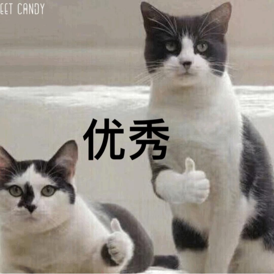 民以食为天521