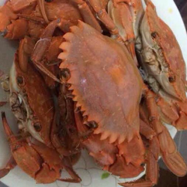 清蒸梭子蟹