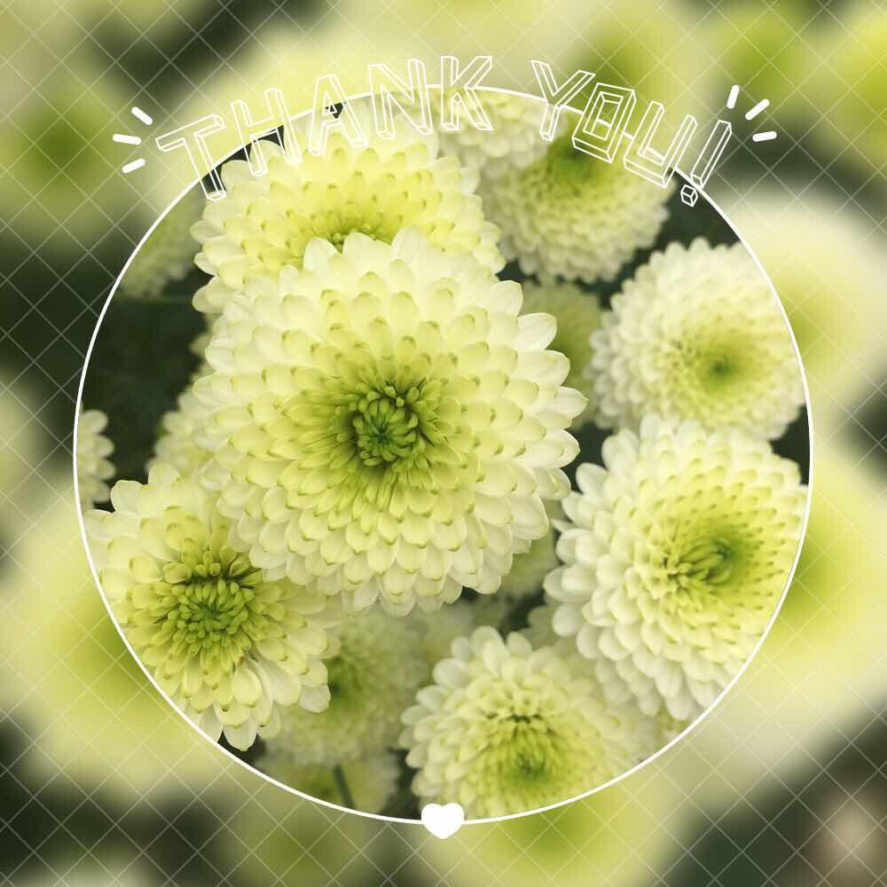 煮饭婆lj