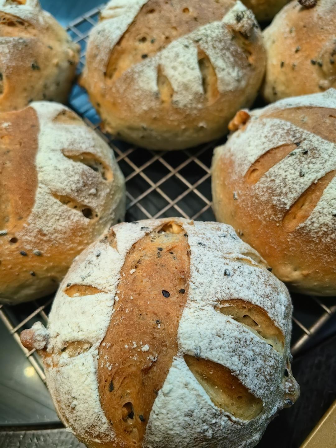 低油低糖，50%全麦核桃提子软欧~