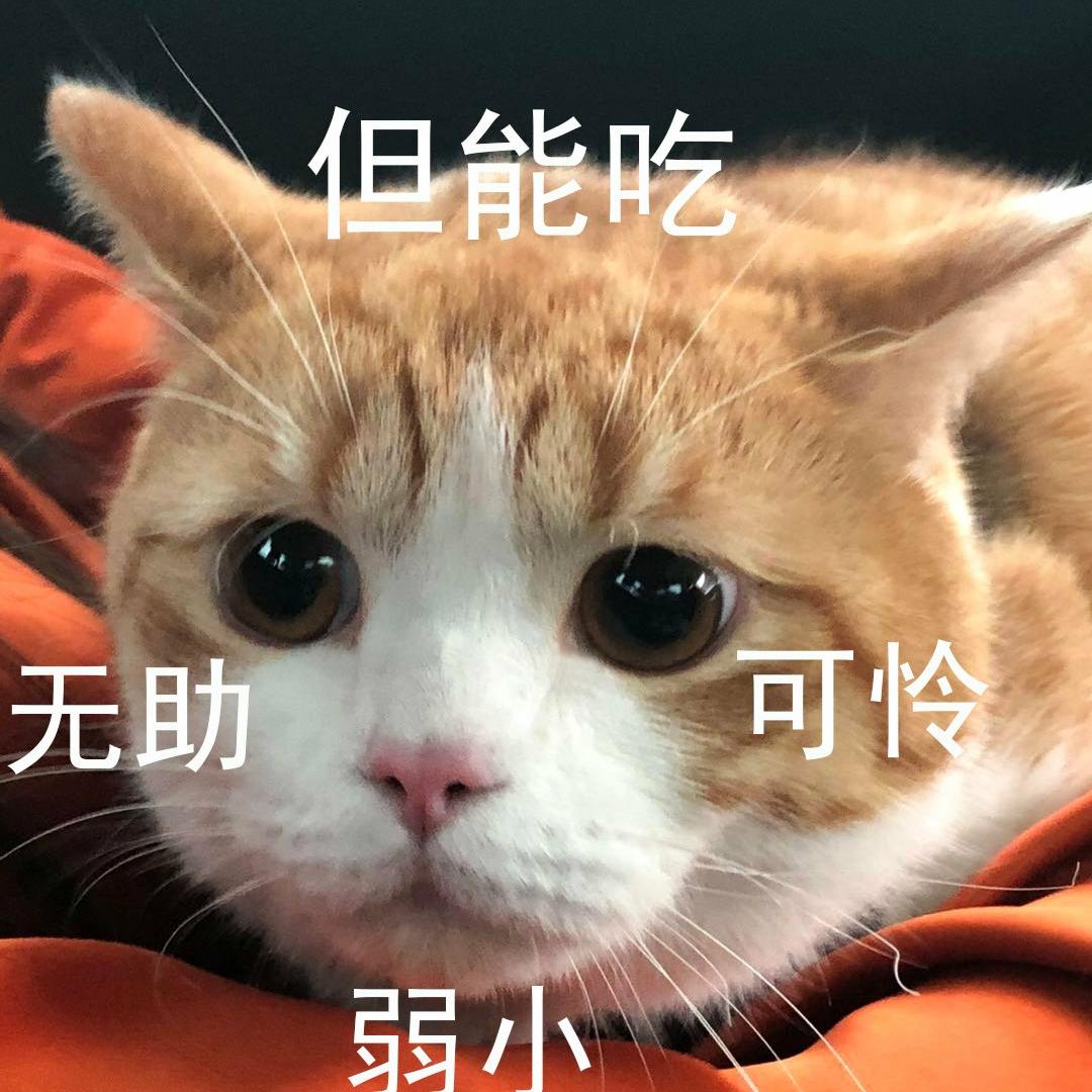 是我田小厨