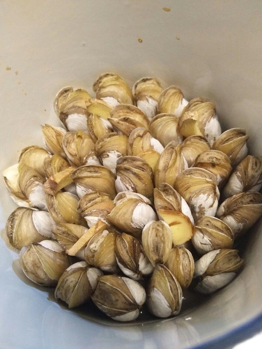 to兔to做的原汁原味的插蛏(蛏子)