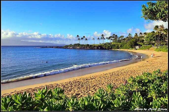 幸福的没有腹肌的兔兔