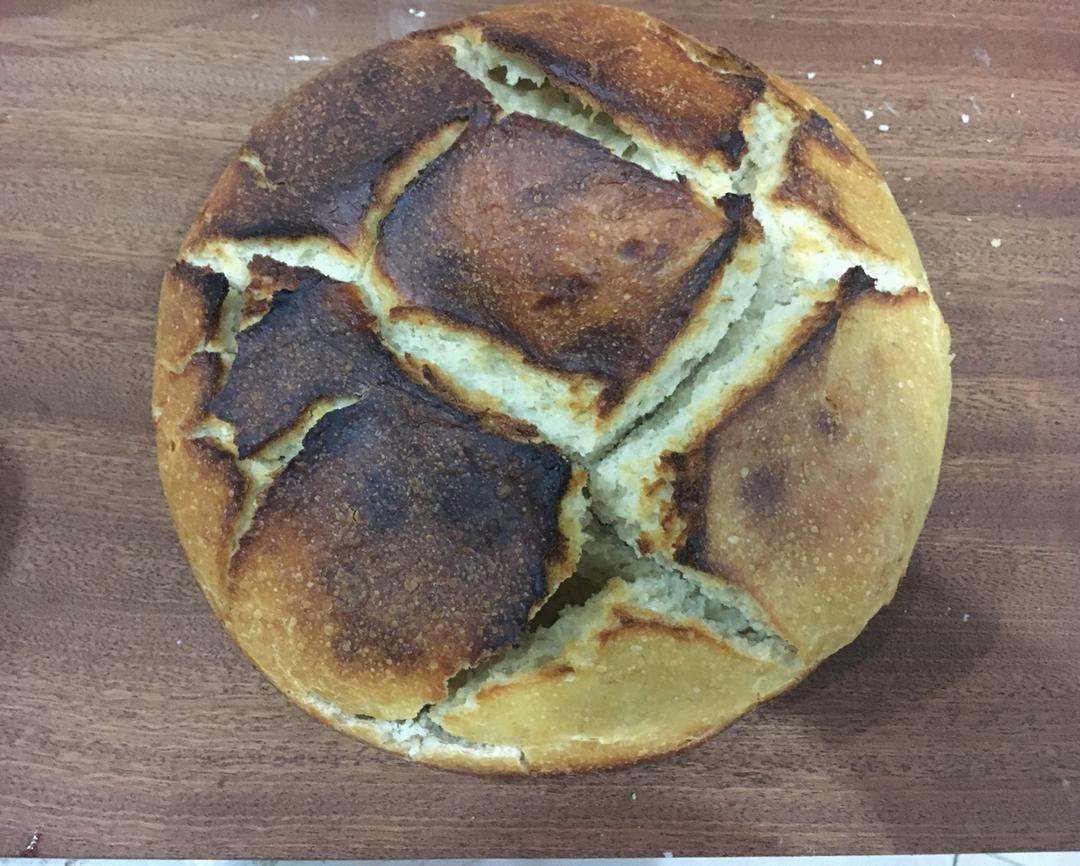 【Ken Forkish】波兰酵头丰收面包