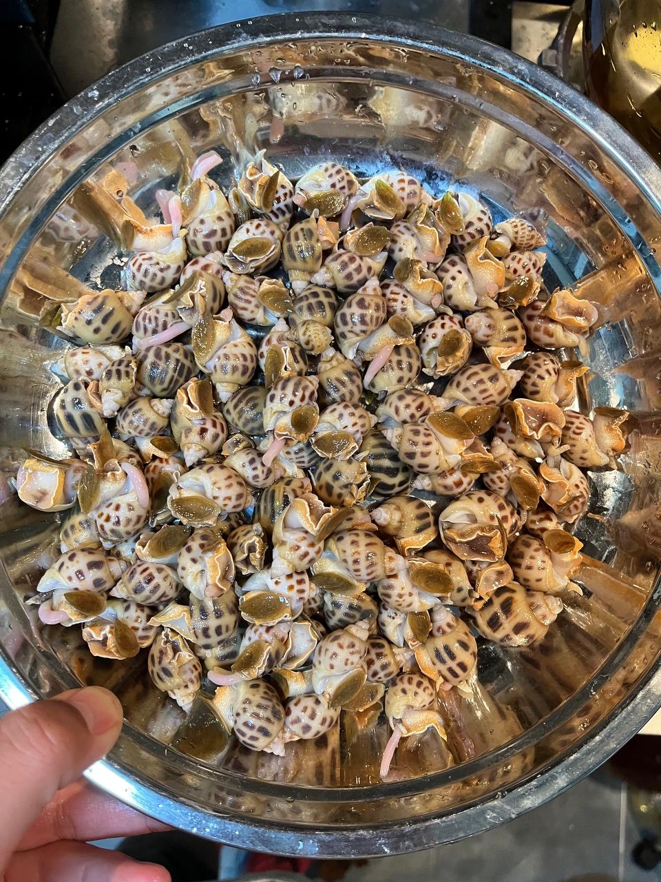 步骤图 没有汤胡椒花螺的做法 没有汤胡椒花螺的做法步骤 快手菜 下厨房