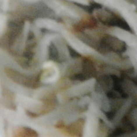 不会回缩的纸杯蛋糕--海氏烤箱定制