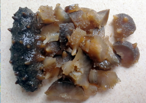 【低脂】海参牛肉小馄饨的做法 步骤2