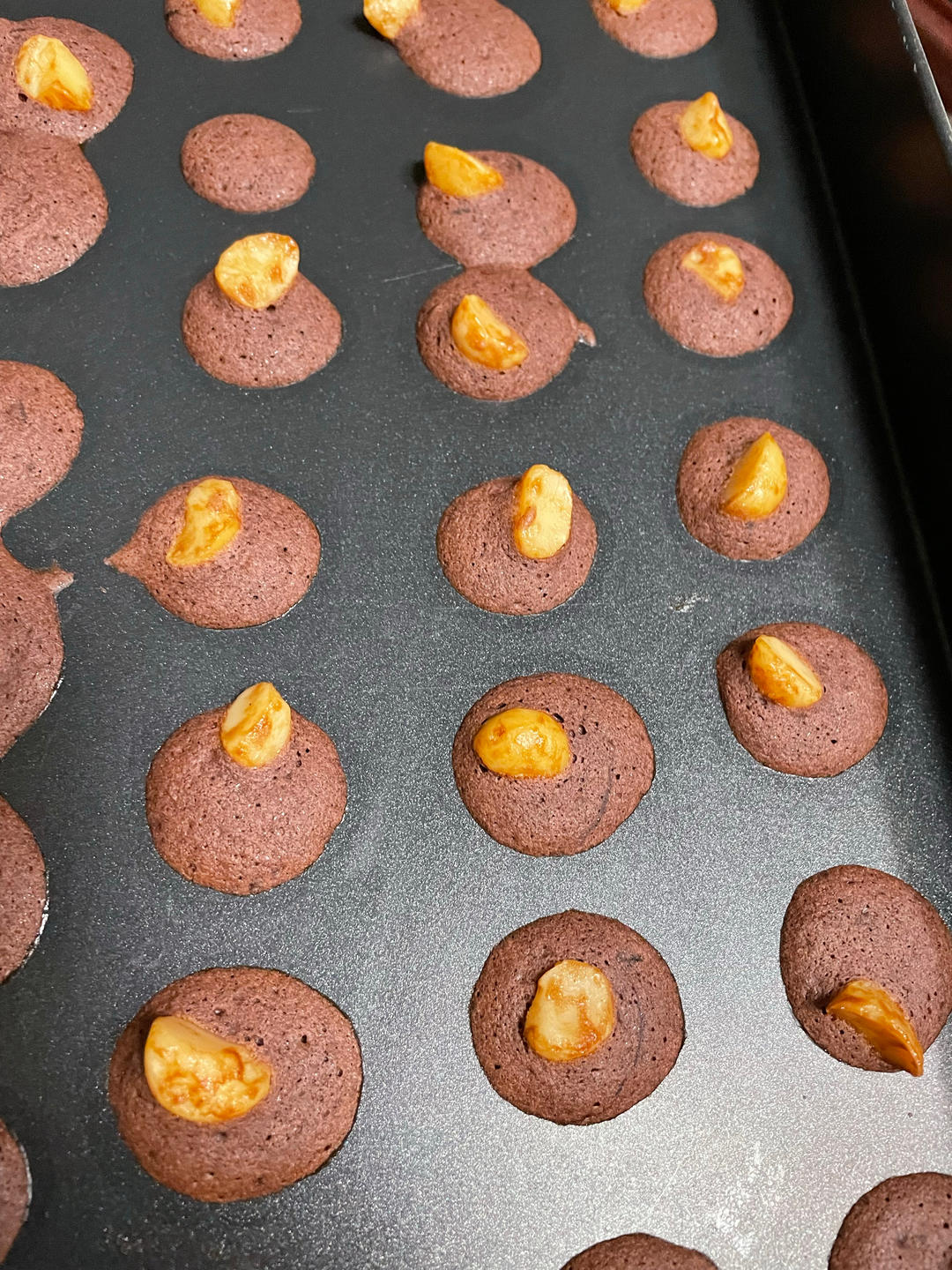 可可巧克力脆片