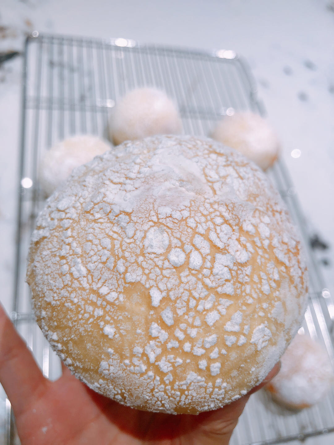 网红日式冰面包|五种口味|冰淇淋口感|夏日必备