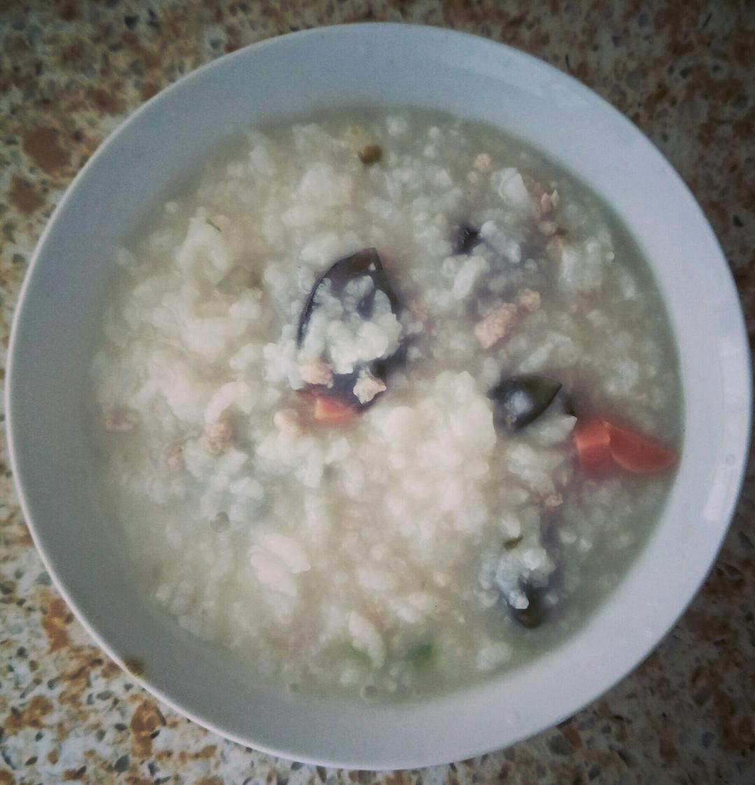 皮蛋瘦肉粥 Pidan & Pork Rice Soup