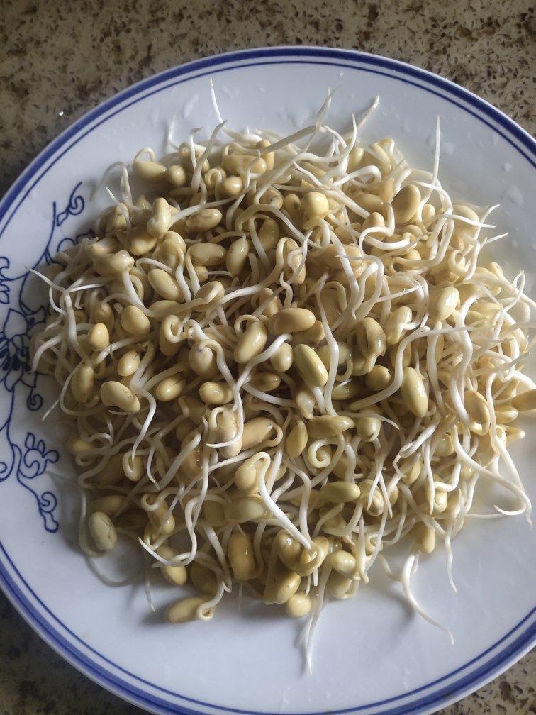 自己生黄豆芽