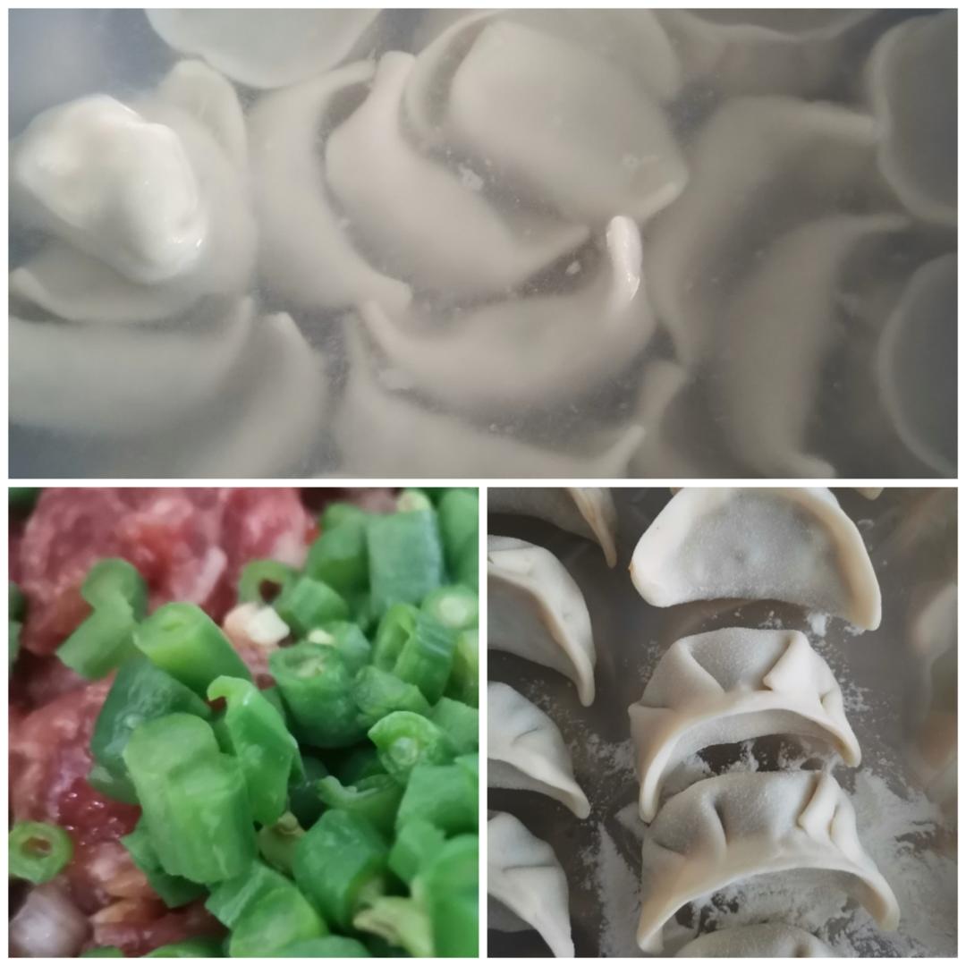 豇豆肉馅饺子