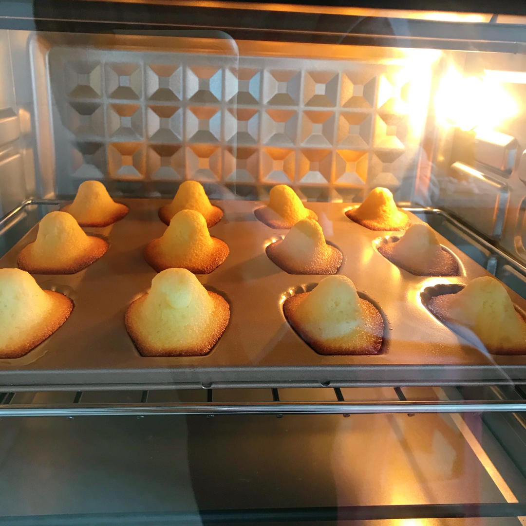 玛德琳（蓝带方）
