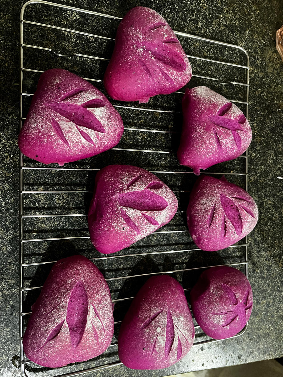 火龙果奶酪软欧包