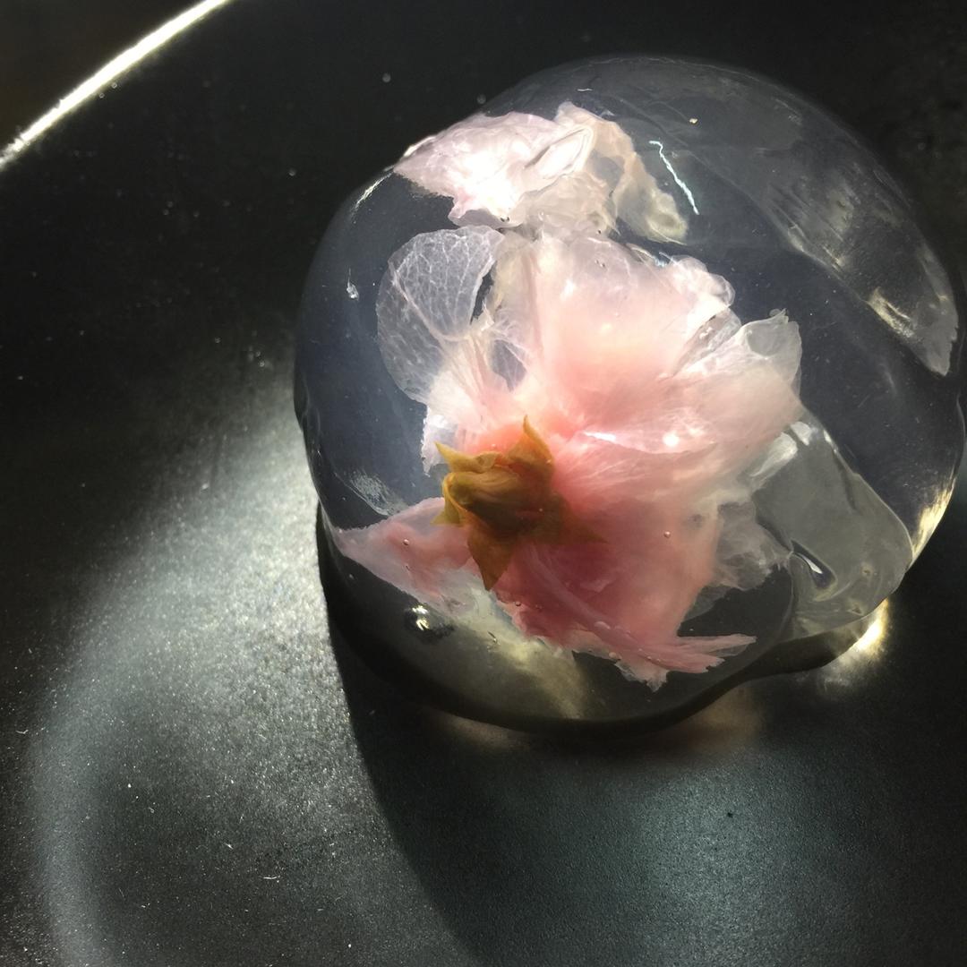 日本最温柔的梦幻和菓子 — 水信玄饼