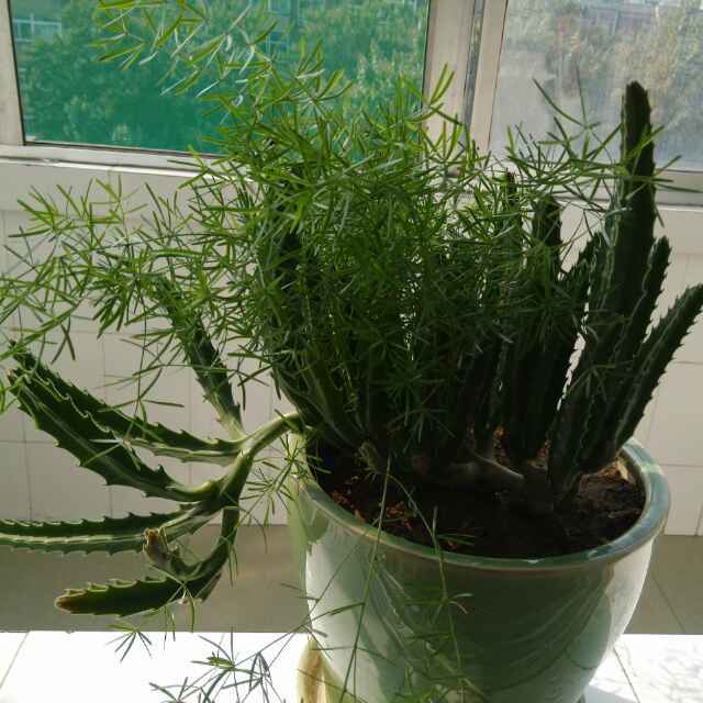 手机用户2800_pdi7