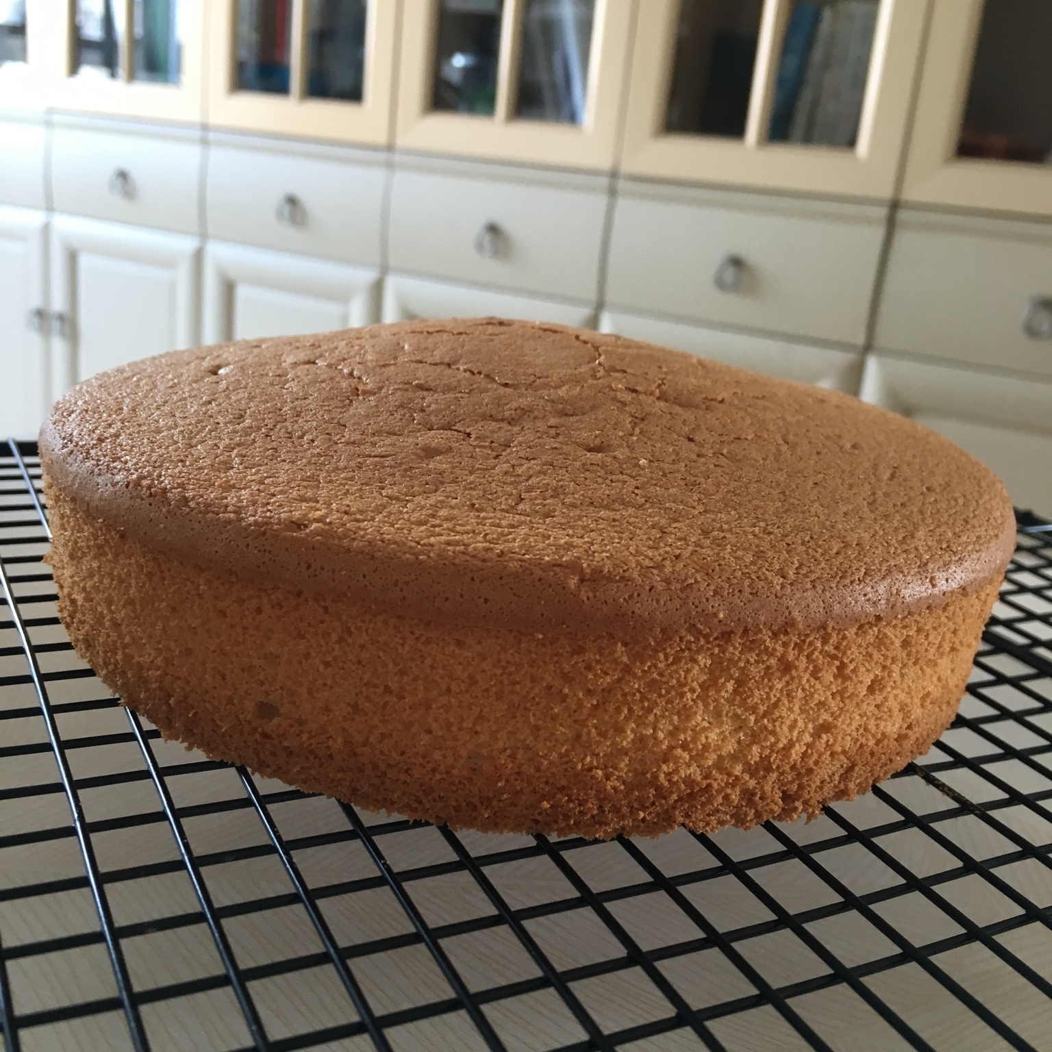 （不易失败的）日式海绵｜视频及gif