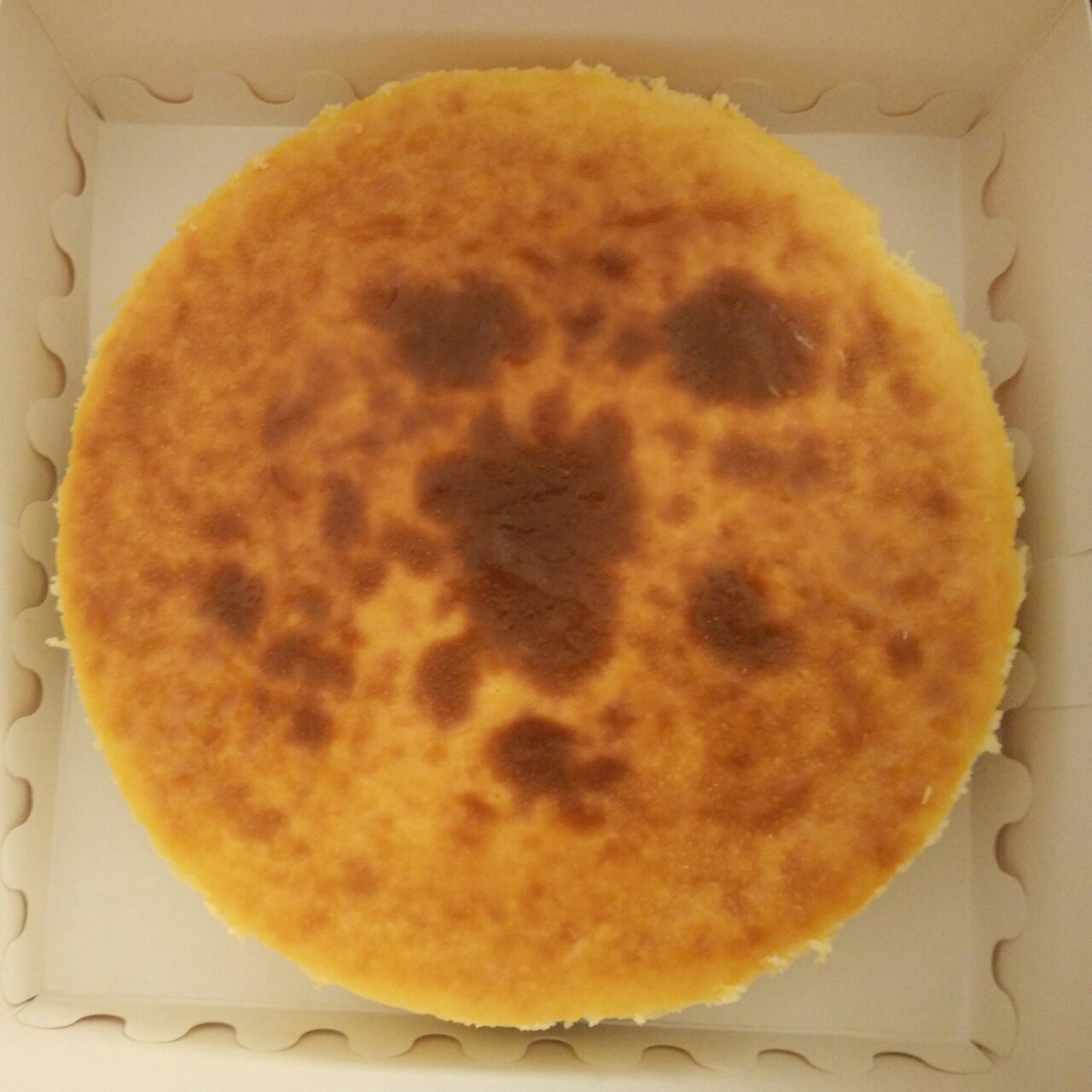 【柴田武】米曲乳酪