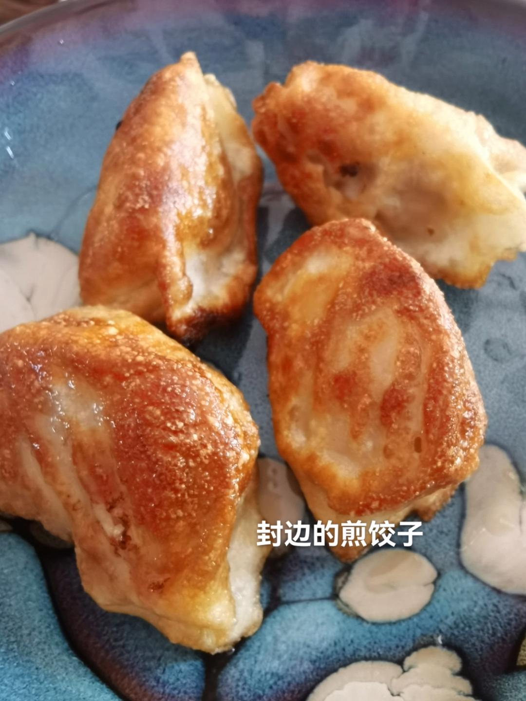 可以开店的猪肉白菜饺子