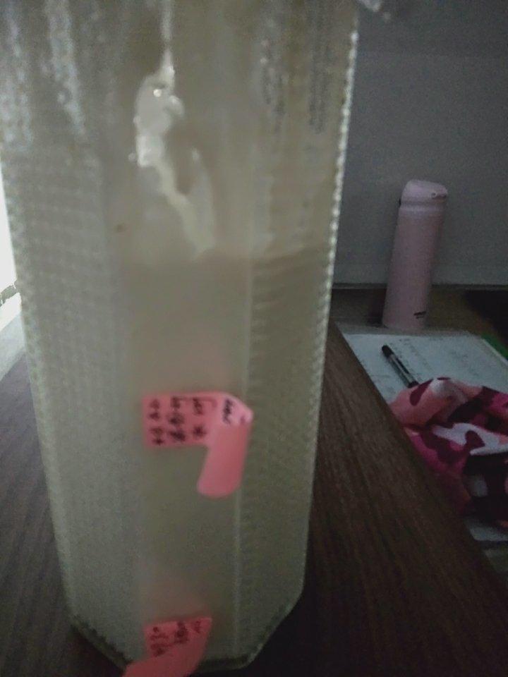 天然酵种养成记