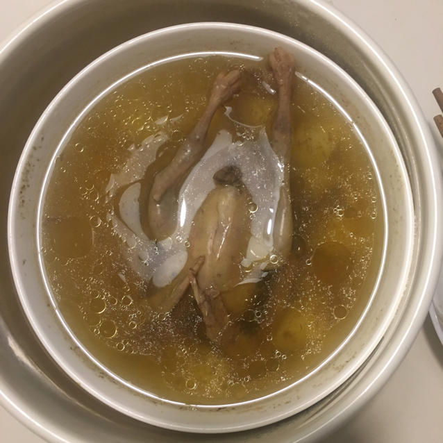清炖乳鸽