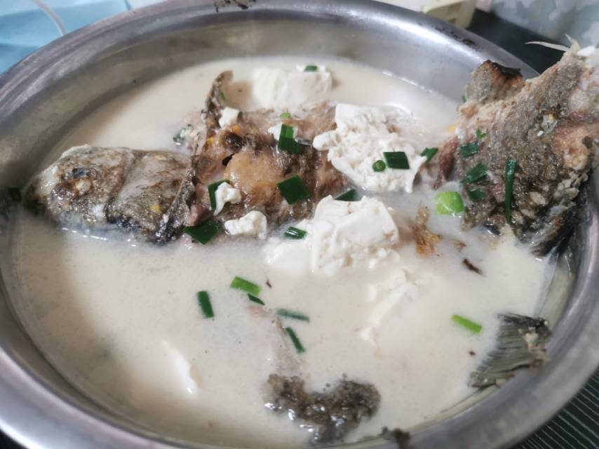奶白鲫鱼豆腐汤|一条鱼最后的温柔
