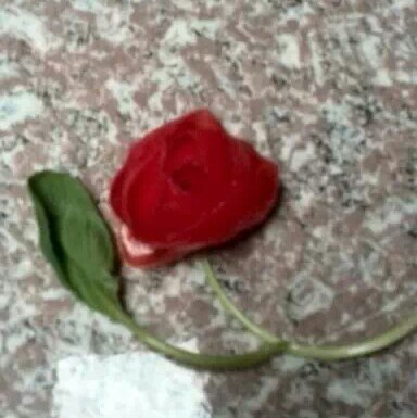 番茄花