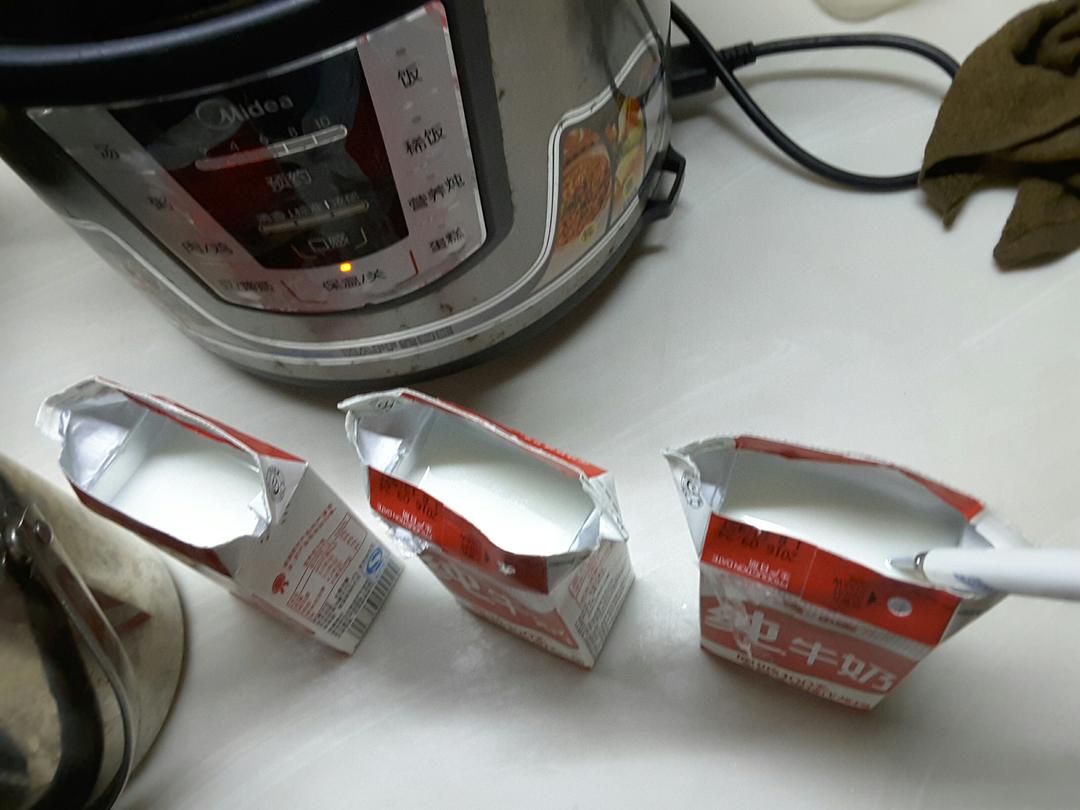 自创酸奶