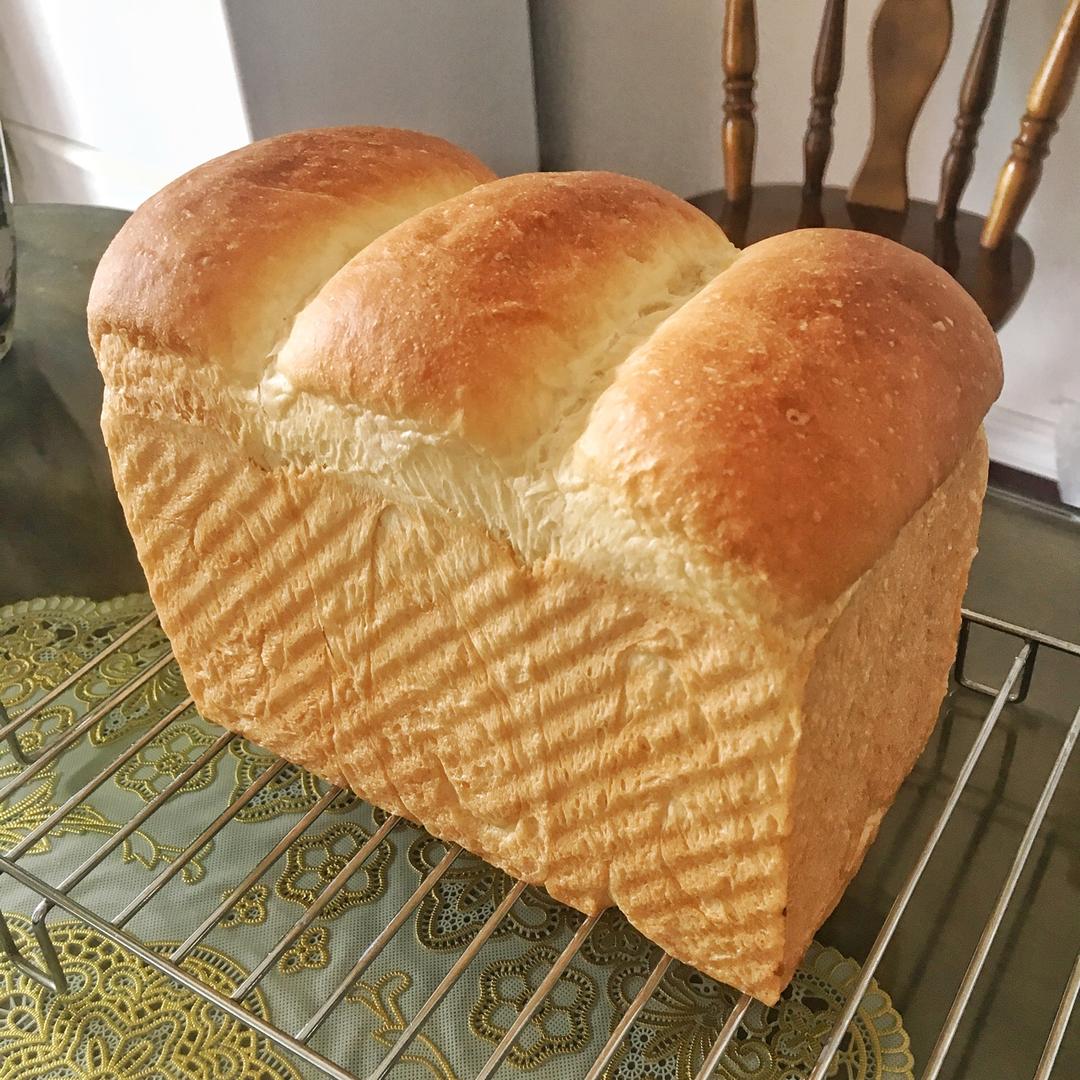 百分百中种北海道