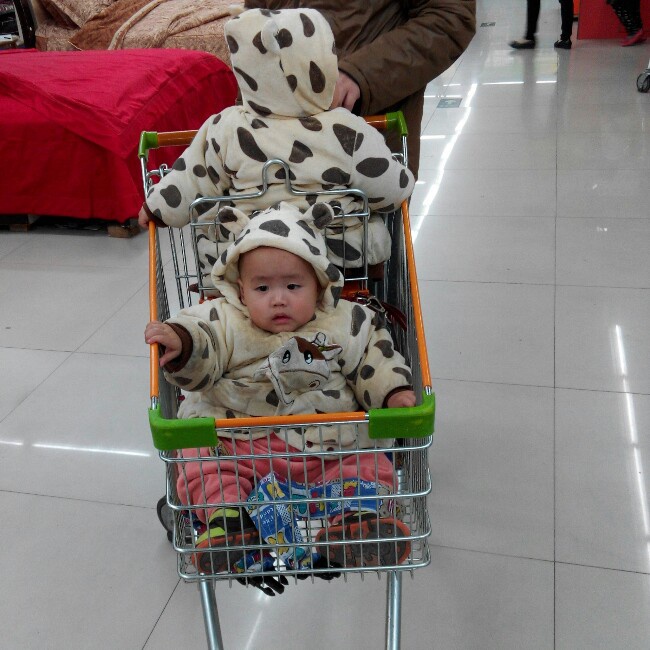 小尨