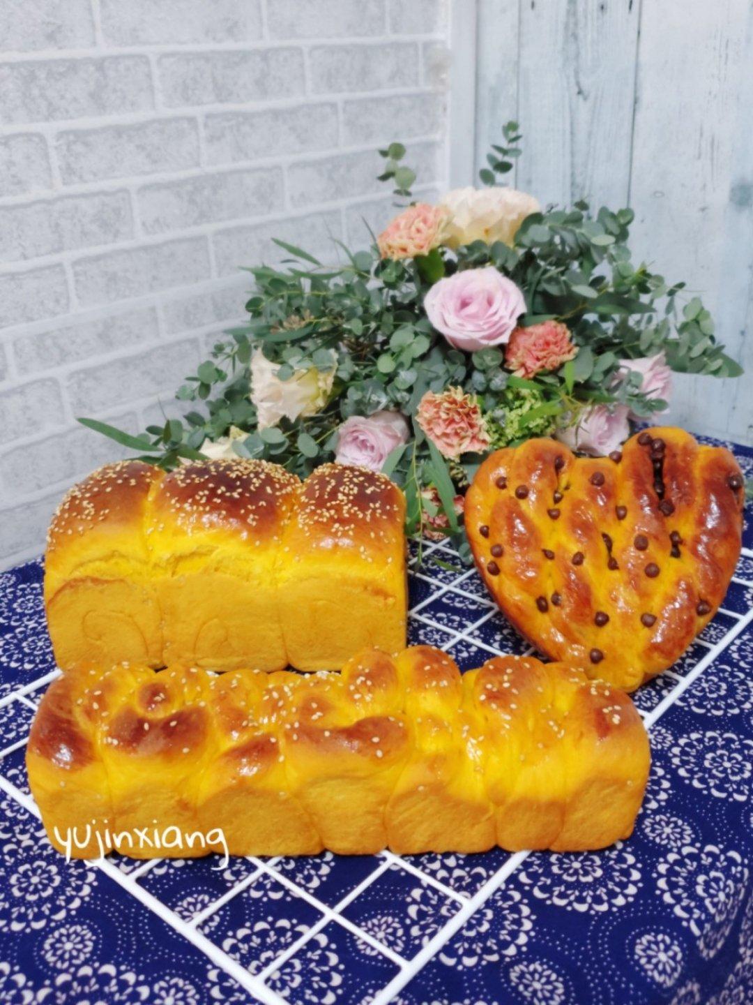 郁金香的幸福时光（花花草草，萌宠及风景等）