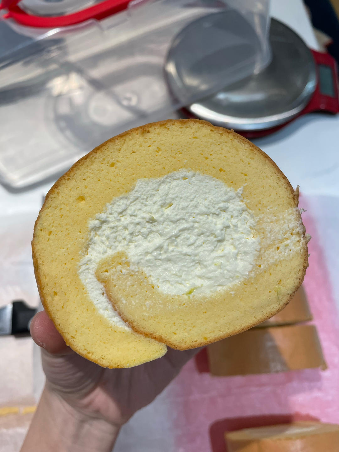 堆起来的蛋糕塔⁉️叠叠乐青提乳酪蛋糕🎂超乖