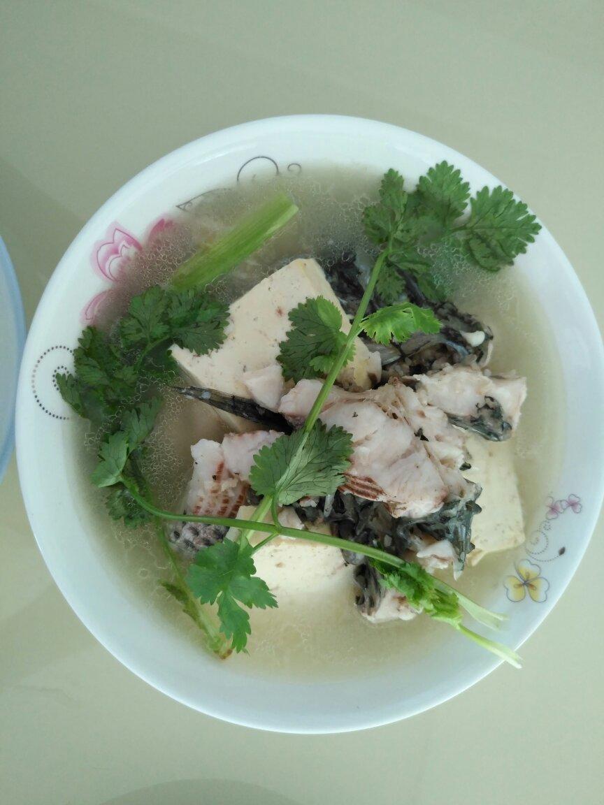 罗非鱼汤