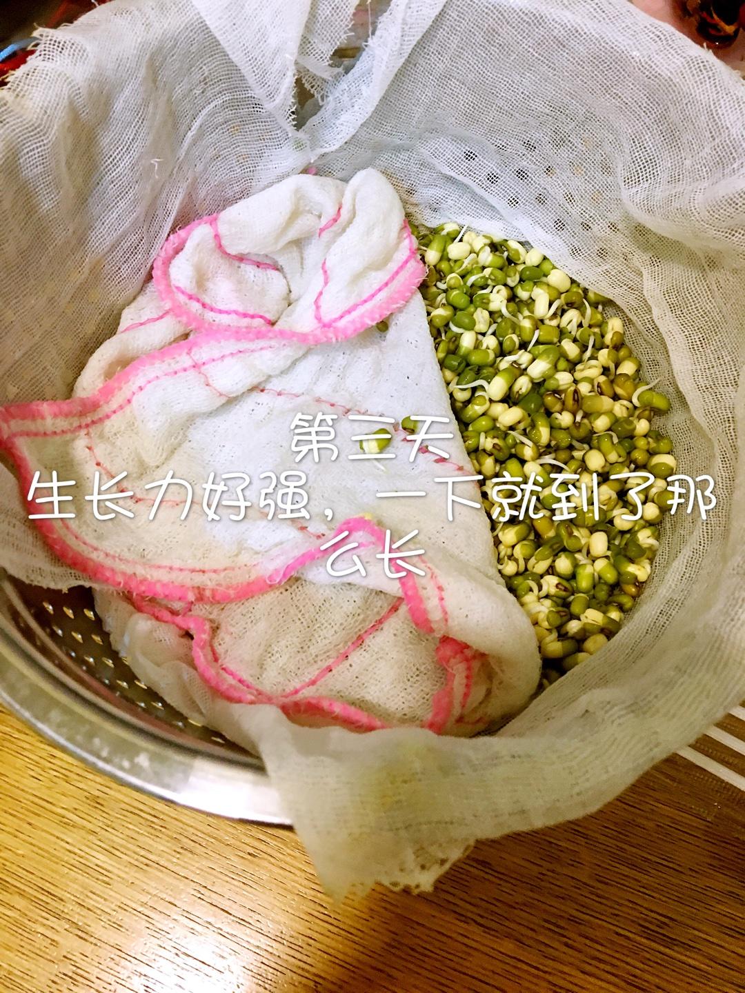 自制豆芽菜的做法 步骤5