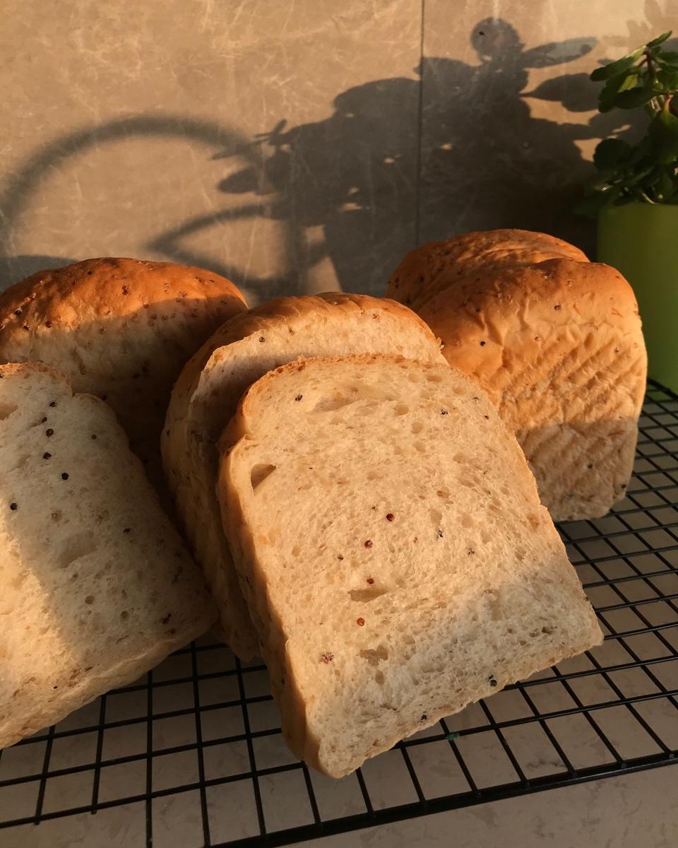 藜麦椰香吐司（韩国厚蛋吐司）【不藏私】