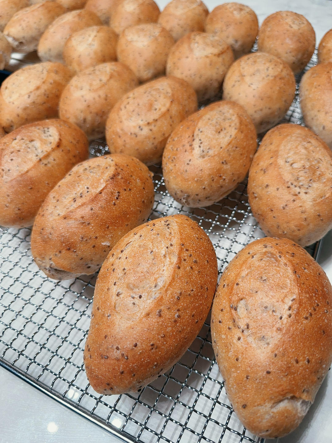 奇亚籽全麦主食餐包