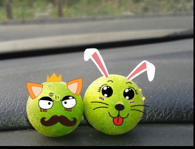 小兔纸的美食梦