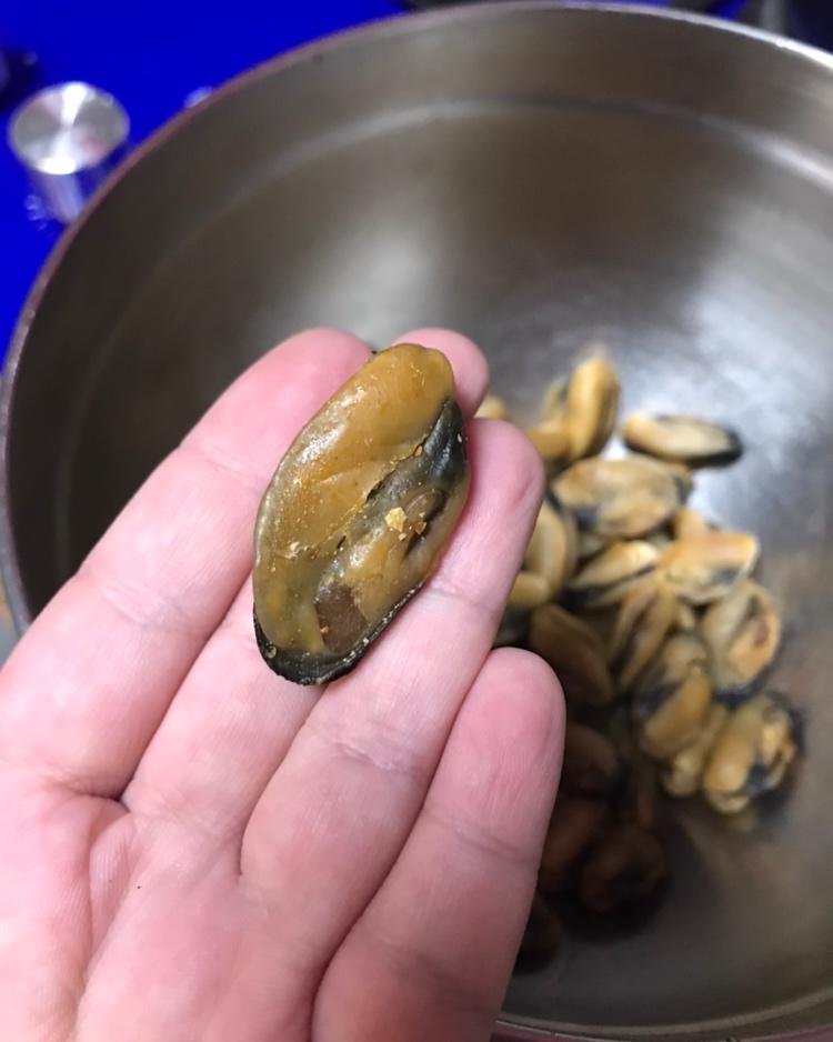 烧淡菜