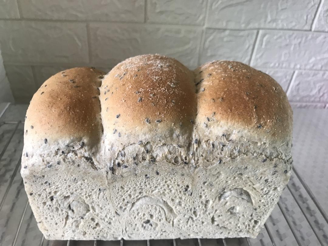 双种芝麻全麦吐司 100%全麦 烫种+波兰种