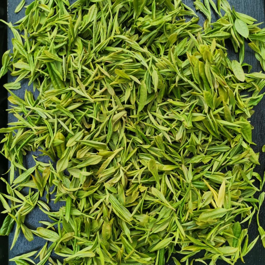 喜欢吃的小胖子111