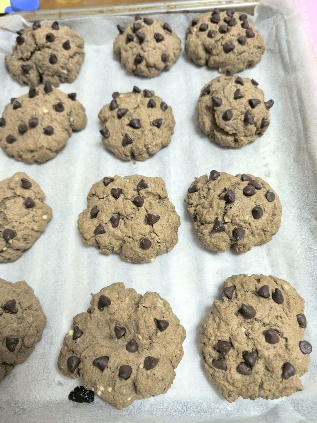 🍪巧克力曲奇｜免打发❗️零失败一次成功❗️