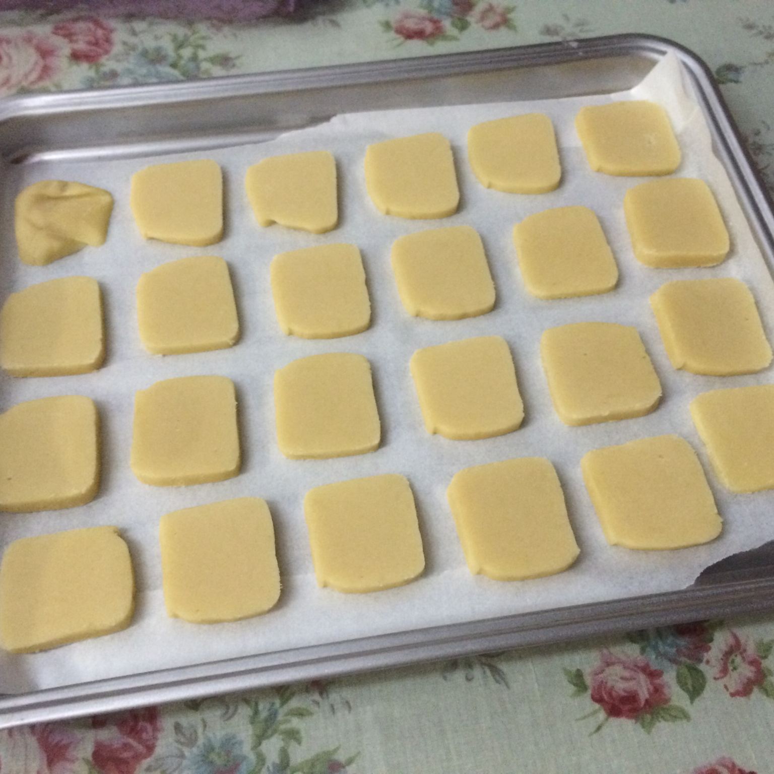 蔓越莓饼干 蔓越莓曲奇