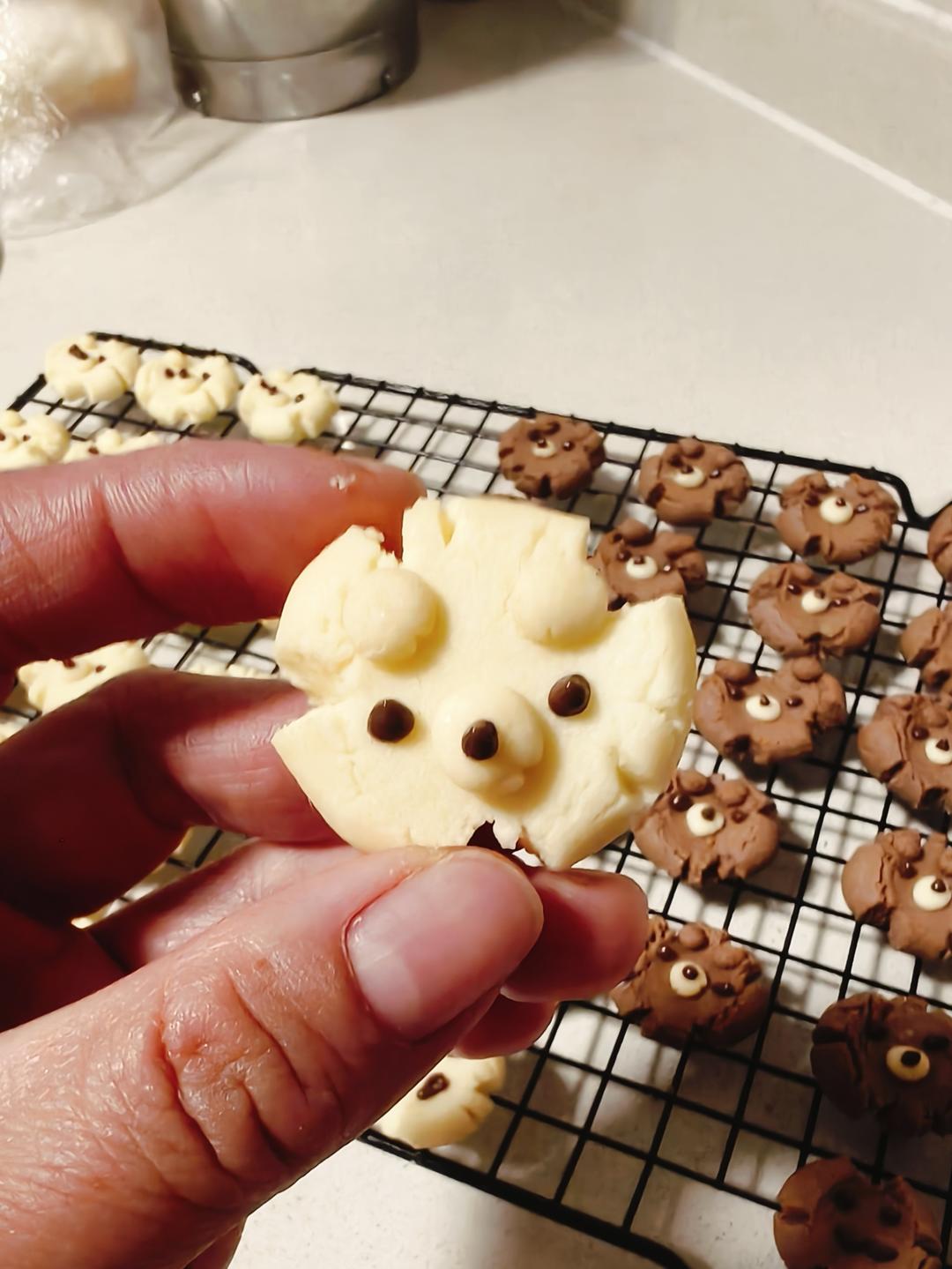 玛格丽特小熊饼干🐻