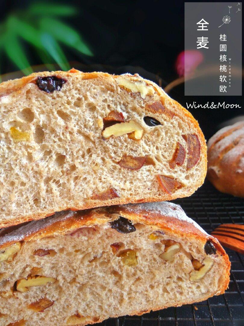 天然酵母（鲁邦种）法式红酒桂圆