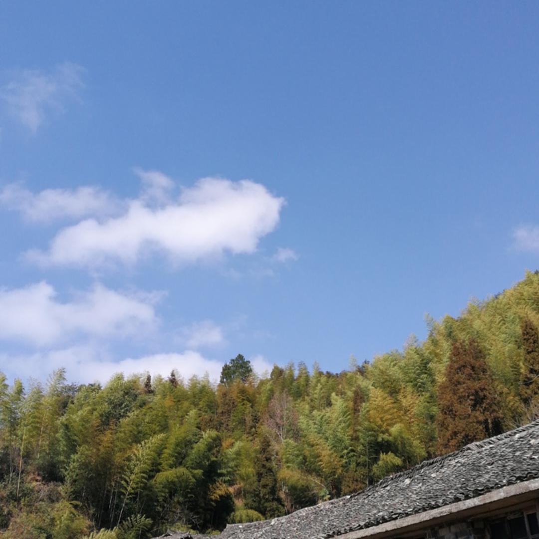 专注美食无法自拔