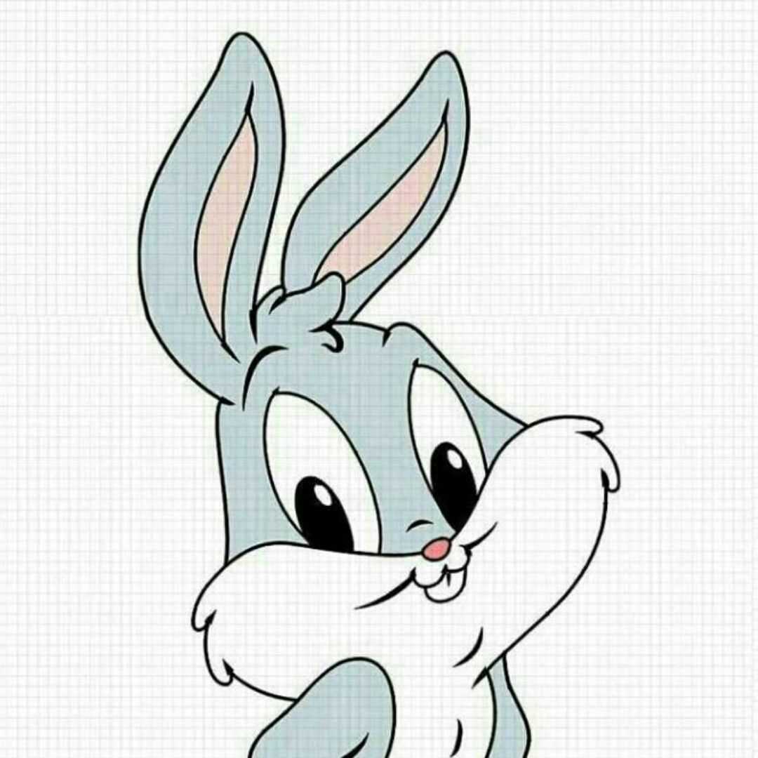 快乐的兔子Q