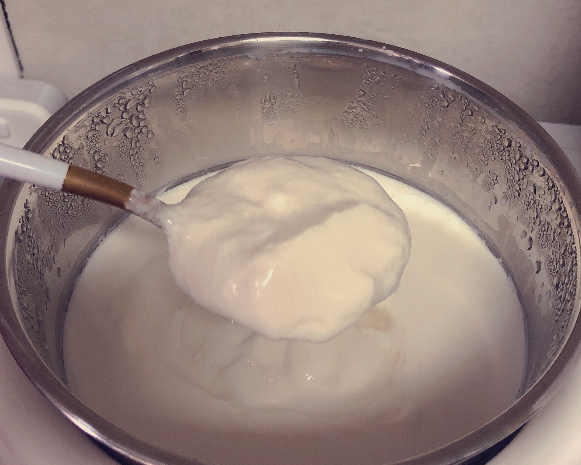 酸奶自制（超详细适合新手）的做法