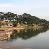 梦幻紫蝶zhen