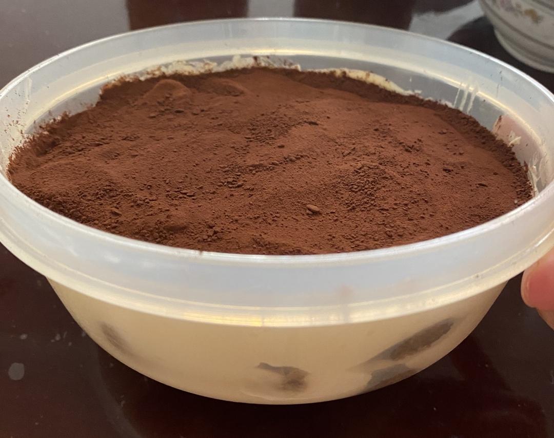 纯正的意大利传统提拉米苏Tiramisu制作方法