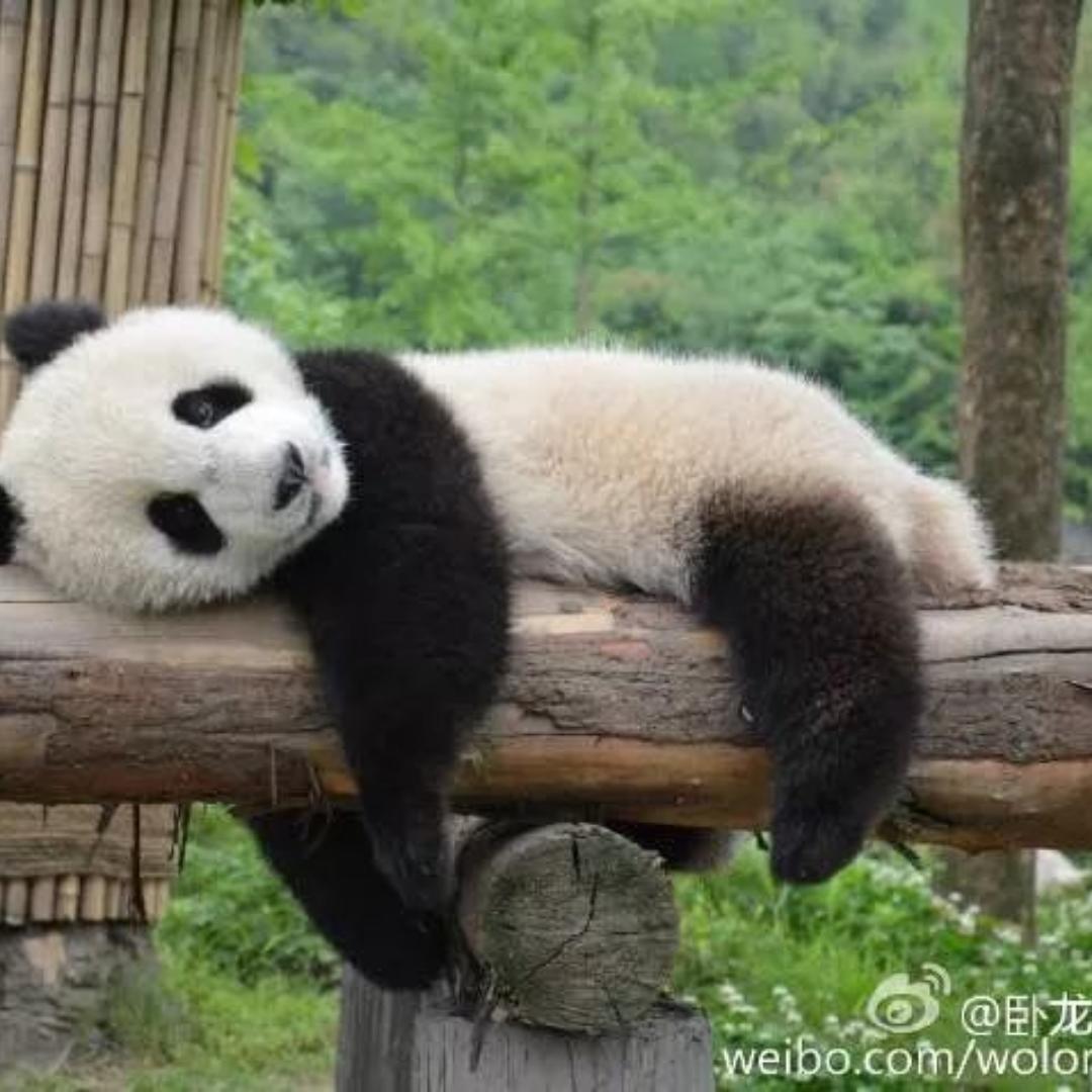 玻璃花园